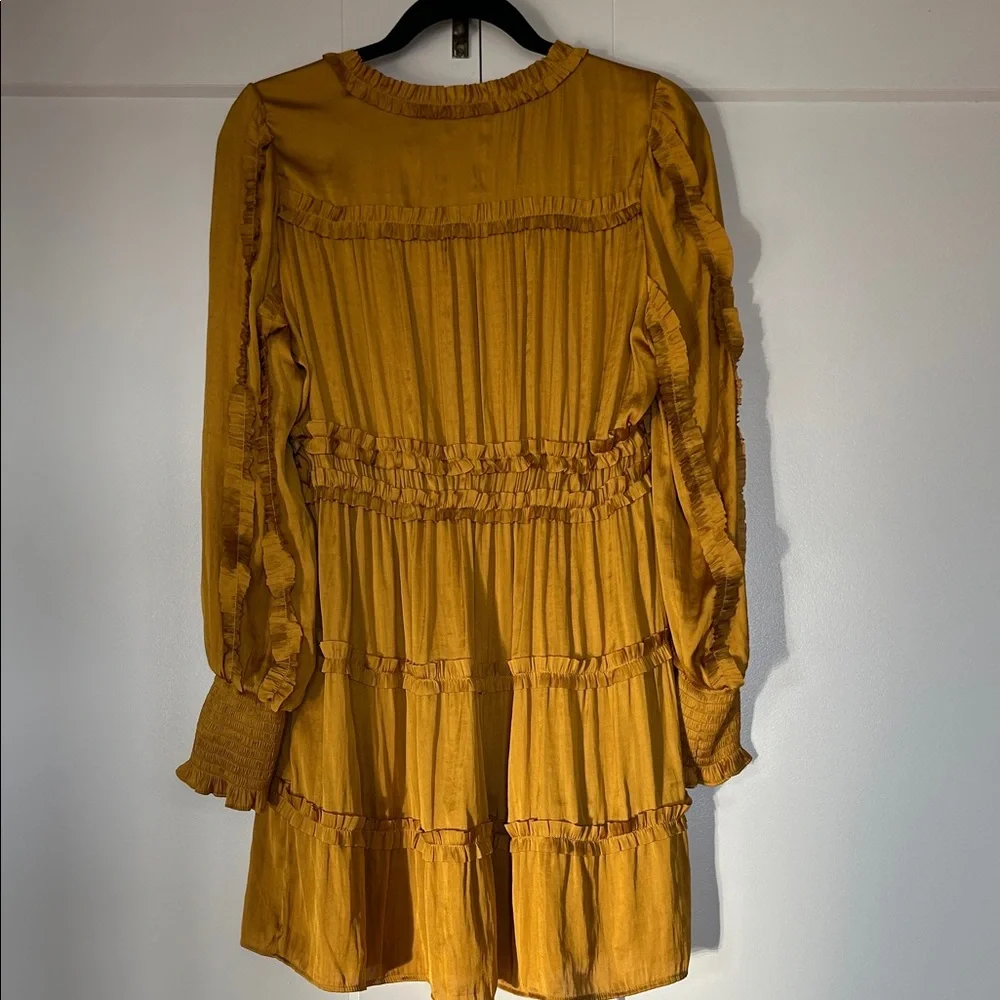 Fun Ruffled Dress - Picture 4 of 5